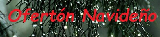 Oferta Navidad