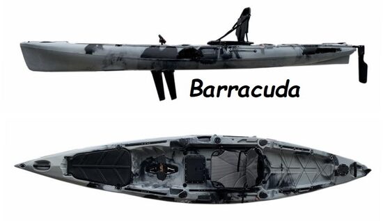 BARRACUDA 